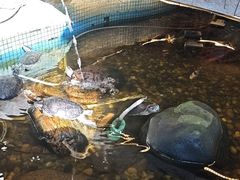 -御膳粥·牛乳粥底火锅·地道顺德菜(容桂店)