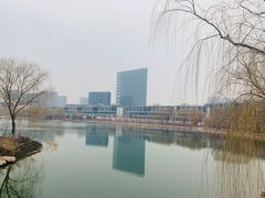 -大兴滨河森林公园