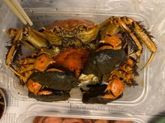 -蓝精灵饺子店