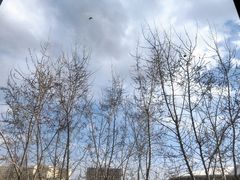 -吉林大学(前卫南区)