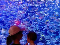 -成都浩海立方海洋公园