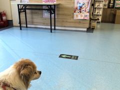 -萌兽医馆·犬猫专科·眼科中心·宠物医院(朝阳门分院)