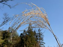 -山王坪喀斯特国家生态公园