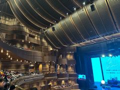 -交通银行前滩31演艺中心