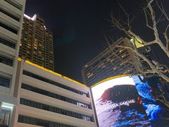 -上海波特曼丽思卡尔顿酒店
