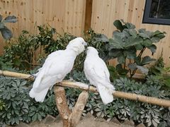 -南宫五洲植物乐园