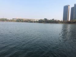 -剑鱼皮划艇俱乐部(石湖基地)
