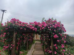 -玫瑰庄园·自助烧烤·烤全羊·团建拓展(龙泉山店)