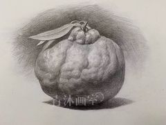 -青沐画室·专业美术培训