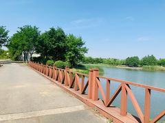 -尚贤河湿地