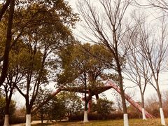-贡湖湾湿地公园