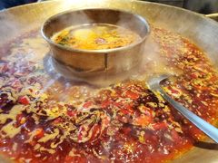-杨家火锅(国美店)