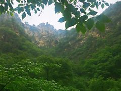 -北京上方山国家森林公园