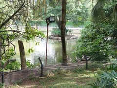 -深圳野生动物园
