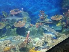 -泉州海丝野生动物世界