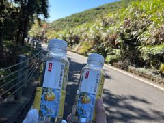 -东钱湖旅游度假区