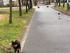 -同济大学(嘉定校区)