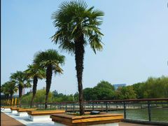 -白塘生态植物园