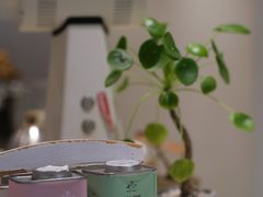 -Willing·Coffee&Brunch&Dinner(万达店)