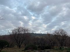 -无锡梅园公园