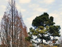 -苏州上方山国家森林公园