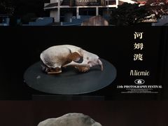 -河姆渡遗址博物馆