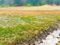 -浙西天池-售票处