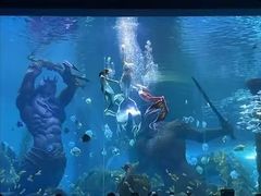 -南昌海洋公园