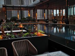 -四季酒店·空中花园 Aria on 9