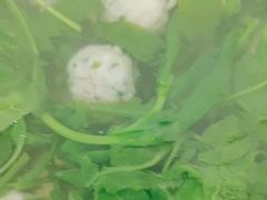 -大鹏饭店·金陵家宴(奥体中心店)