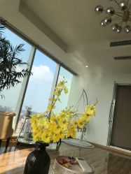 -久匠半永久纹眉