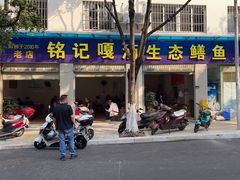 -铭记嘎洒生态鳝鱼(迎春街店)