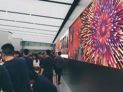 -Apple 零售店(Canton Road)
