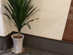 -梅花香里大酒店(郁金香路店)