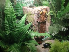 -湖南省地质博物馆