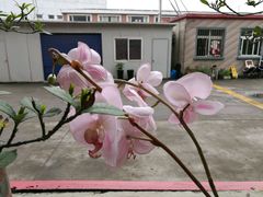 -StorHub 趣存自助仓·迷你仓(虹桥店)