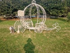 -福建鲤鱼洲酒店