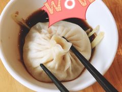 鲜肉小笼汤包-一品小笼(金融街店)
