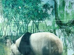 -黔灵山公园