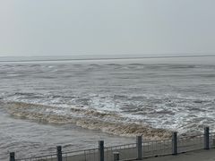 -阿龙酒煲(海宁新苑路店)