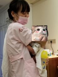 -大美臻喜母婴(南坪店)
