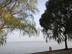 -阳澄湖半岛旅游度假区