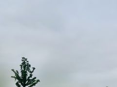 -上海月湖雕塑公园
