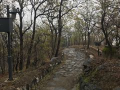 -阳台山自然风景区