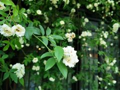 -山塘街