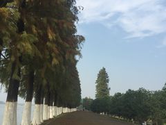 -太阳岛度假酒店