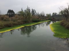 -桤木河湿地公园