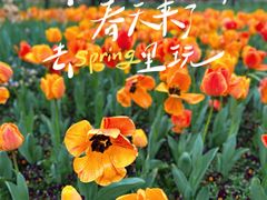 -东平国家森林公园