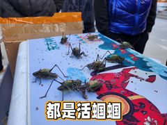 -华声天桥民俗文化园