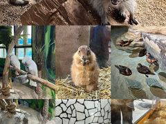 -海合安武汉极地海洋公园